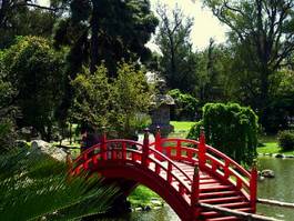Naklejka ogród most ogród japoński park