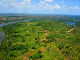 Fototapeta brazylia natura dziki