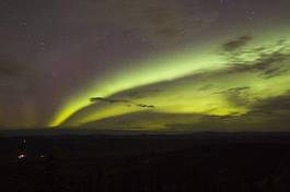 Fototapeta noc alaska drzewa natura gwiazda