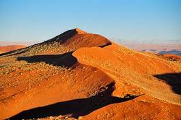 Naklejka wydma pustynia panorama safari sztorm