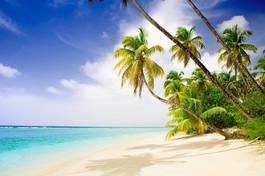 Plakat karaiby plaża wybrzeże krajobraz tropikalny