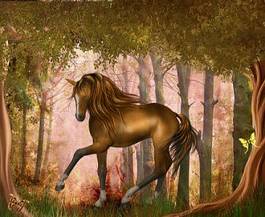 Plakat tęcza gwiazda koń motyl jesień