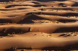 Plakat wydma afryka pustynia natura krajobraz