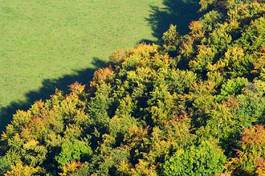 Naklejka krajobraz widok trawa