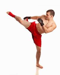 Plakat sztuki walki bokser boks sport