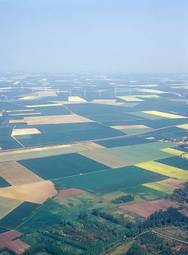 Naklejka lato drzewa żniwa natura łąka