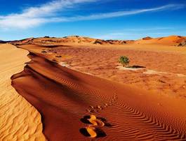 Fototapeta natura wydma pejzaż pustynia
