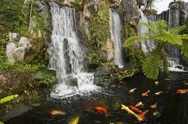 Plakat świątynia japoński wodospad ryba