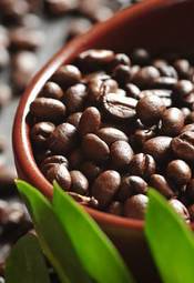 Fotoroleta ziarno kawa afryka upraw liść
