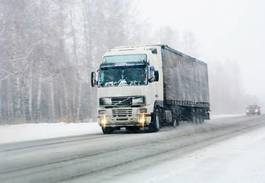 Fotoroleta drzewa transport autostrada droga