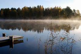 Fotoroleta szwecja jesień natura