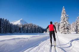 Fotoroleta zdrowy natura sportowy krajobraz