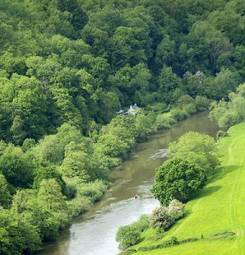 Naklejka pejzaż panoramiczny drzewa