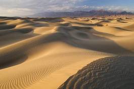 Fototapeta bezdroża kalifornia wydma pejzaż pustynia