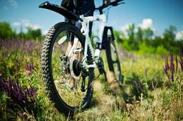 Naklejka rower łąka wiejski natura trawa