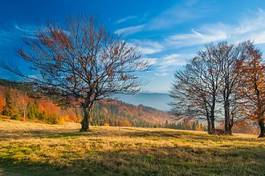 Obraz na płótnie natura panorama wieś