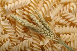 Plakat rolnictwo świeży mąka roślina pszenica
