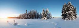Fototapeta panorama niebo dziki śnieg