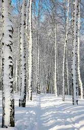 Naklejka piękny park wiejski ścieżka wzór