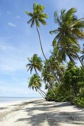 Naklejka plaża brzeg brazylia