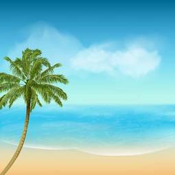 Plakat lato niebo tropikalny palma morze
