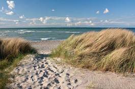 Naklejka ścieżka europa brzeg natura droga