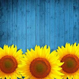Plakat słonecznik lato obraz słońce kwiat