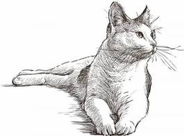 Naklejka rysunek leżącego kota