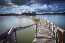 Naklejka most dżungla drzewa park