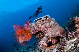 Plakat indonezja natura morze ryba