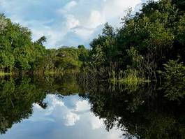 Naklejka ameryka dziki woda natura