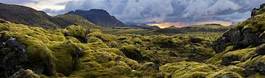 Plakat roślina natura niebo narodowy islandia