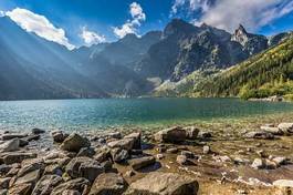 Plakat tatry ścieżka sosna lato