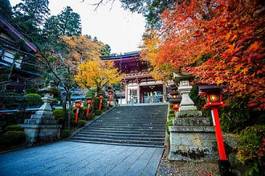 Obraz na płótnie azja architektura japoński świątynia drzewa