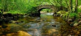 Obraz na płótnie natura pejzaż wieś most panoramiczny