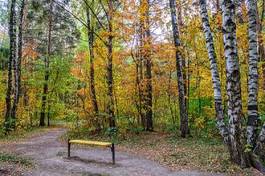 Naklejka wiejski park piękny jesień drzewa