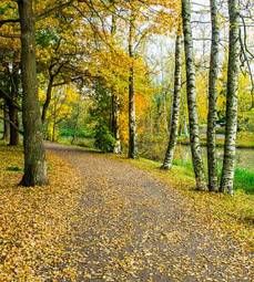 Naklejka ścieżka jesień park