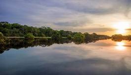 Fotoroleta południe park pejzaż ameryka