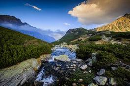 Fotoroleta dolina krajobraz tatry