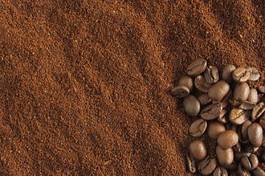 Obraz na płótnie kawa ziarno składnika ziarna kawy