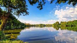 Obraz na płótnie piękny lato park woda