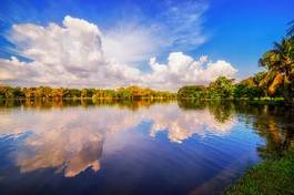 Fotoroleta natura piękny woda park