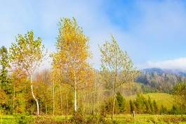 Fototapeta natura wiejski widok góra park