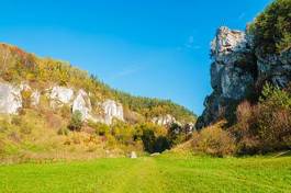 Obraz na płótnie natura las park dolina widok