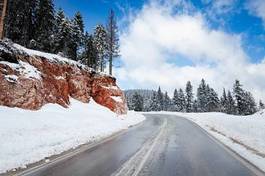 Fotoroleta droga autostrada offroad drzewa ulica