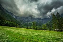 Plakat natura las alpy