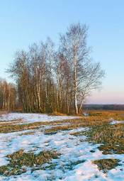 Naklejka świt niebo natura