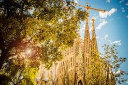 Plakat niebo barcelona katedra drzewa