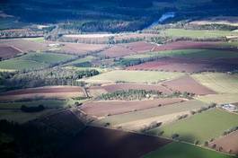 Naklejka pole natura krajobraz las