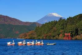 Fototapeta krajobraz japonia sanktuarium